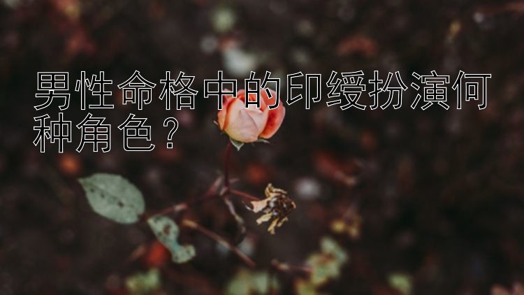 男性命格中的印绶扮演何种角色？