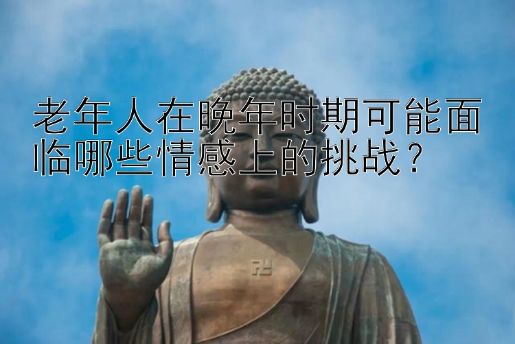 老年人在晚年时期可能面临哪些情感上的挑战？