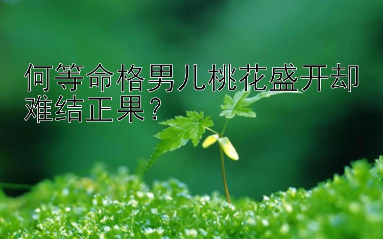 何等命格男儿桃花盛开却难结正果？