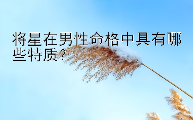 将星在男性命格中具有哪些特质？