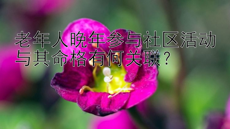 老年人晚年参与社区活动与其命格有何关联？