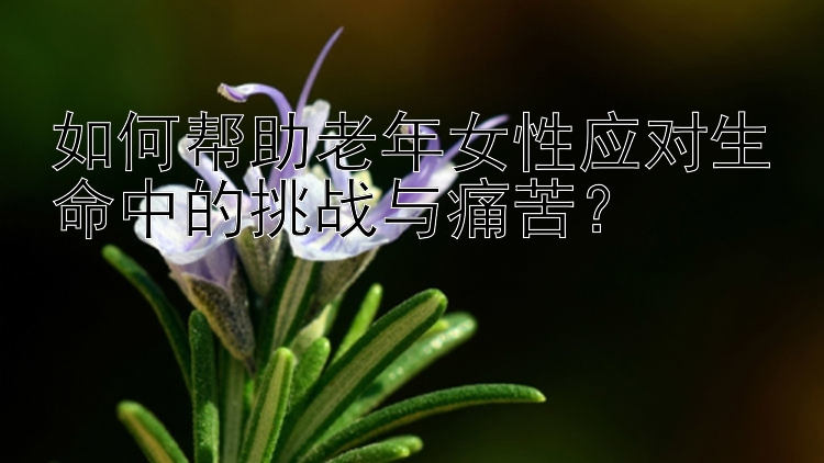 如何帮助老年女性应对生命中的挑战与痛苦？