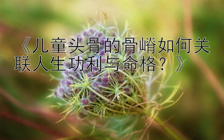 《儿童头骨的骨嵴如何关联人生功利与命格？》