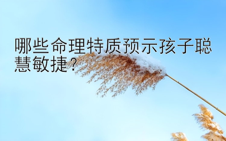 哪些命理特质预示孩子聪慧敏捷？