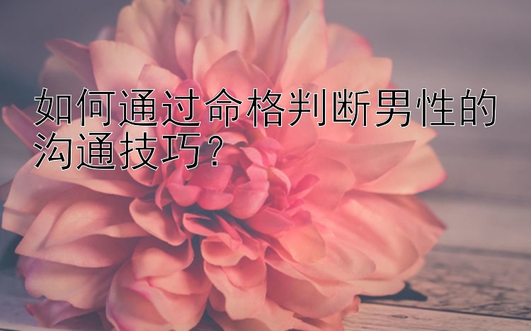 如何通过命格判断男性的沟通技巧？