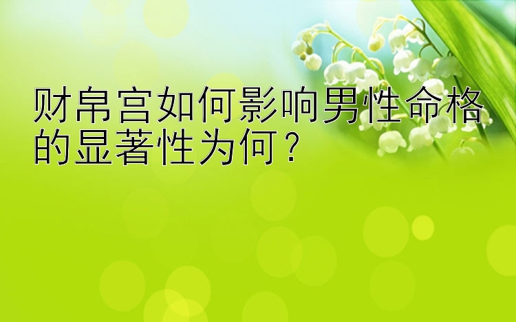 财帛宫如何影响男性命格的显著性为何？