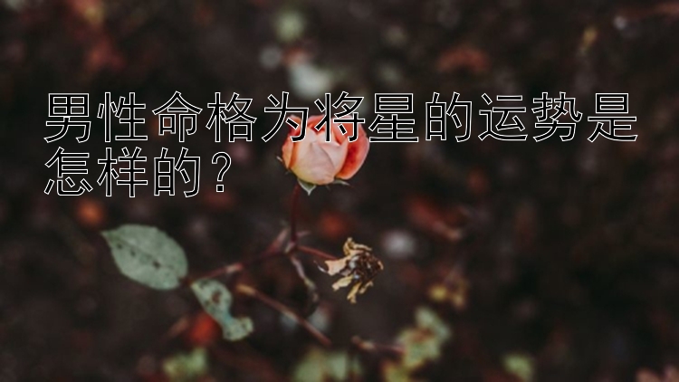 男性命格为将星的运势是怎样的？