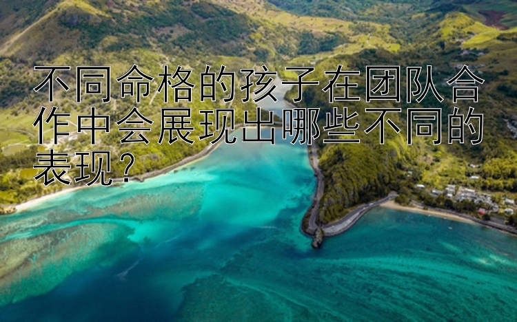 不同命格的孩子在团队合作中会展现出哪些不同的表现？