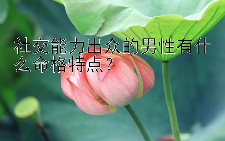 社交能力出众的男性有什么命格特点？