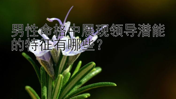 男性命格中展现领导潜能的特征有哪些？