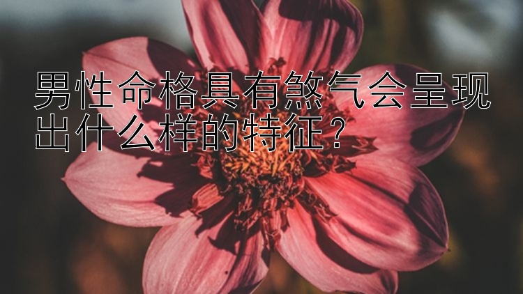 男性命格具有煞气会呈现出什么样的特征？