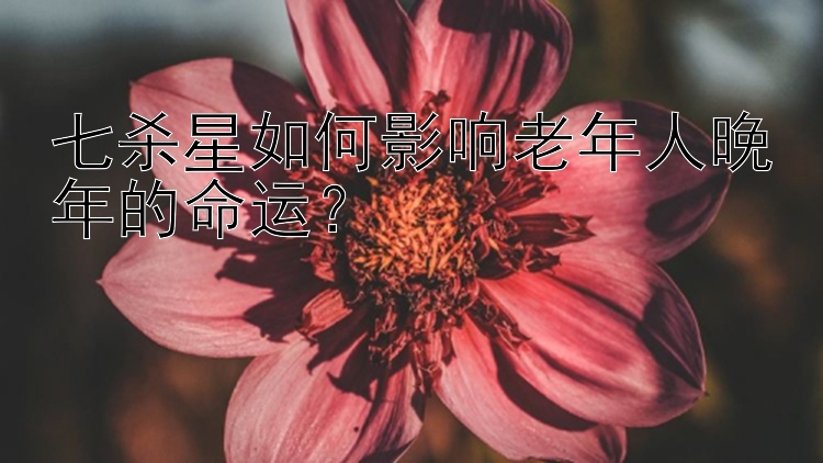 七杀星如何影响老年人晚年的命运？