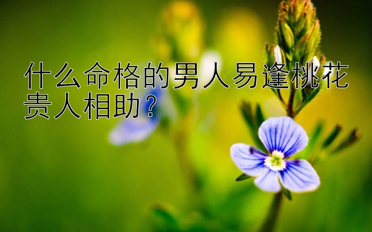 什么命格的男人易逢桃花贵人相助？