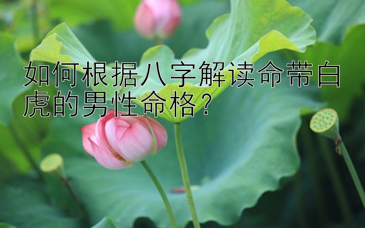 如何根据八字解读命带白虎的男性命格？