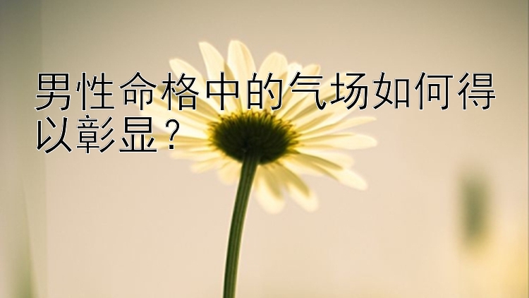 男性命格中的气场如何得以彰显？