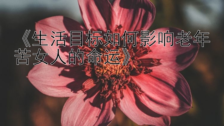 《生活目标如何影响老年苦女人的命运》