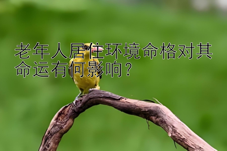 老年人居住环境命格对其命运有何影响？