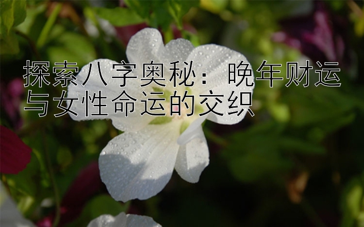 探索八字奥秘：晚年财运与女性命运的交织