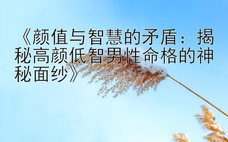 《颜值与智慧的矛盾：揭秘高颜低智男性命格的神秘面纱》