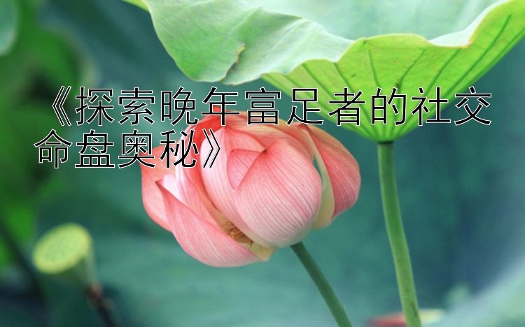 《探索晚年富足者的社交命盘奥秘》