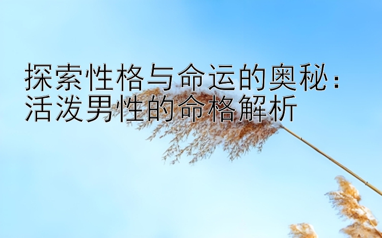 探索性格与命运的奥秘：活泼男性的命格解析