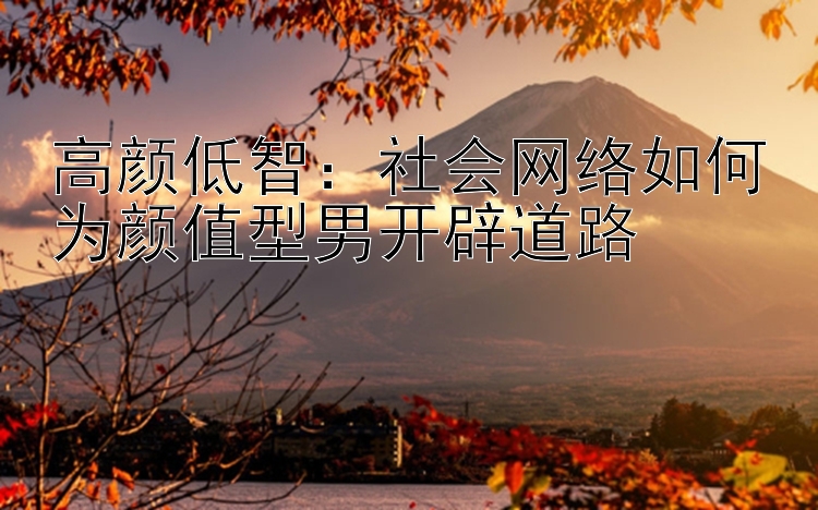 高颜低智：社会网络如何为颜值型男开辟道路