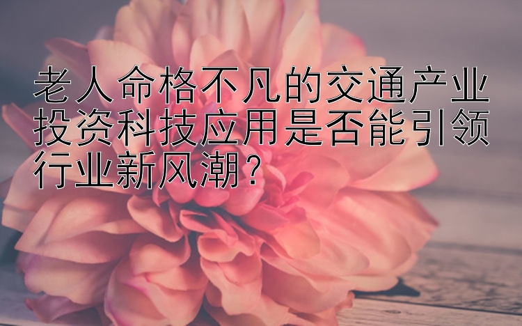 老人命格不凡的交通产业投资科技应用是否能引领行业新风潮？